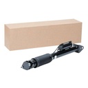 Air Suspension Strut