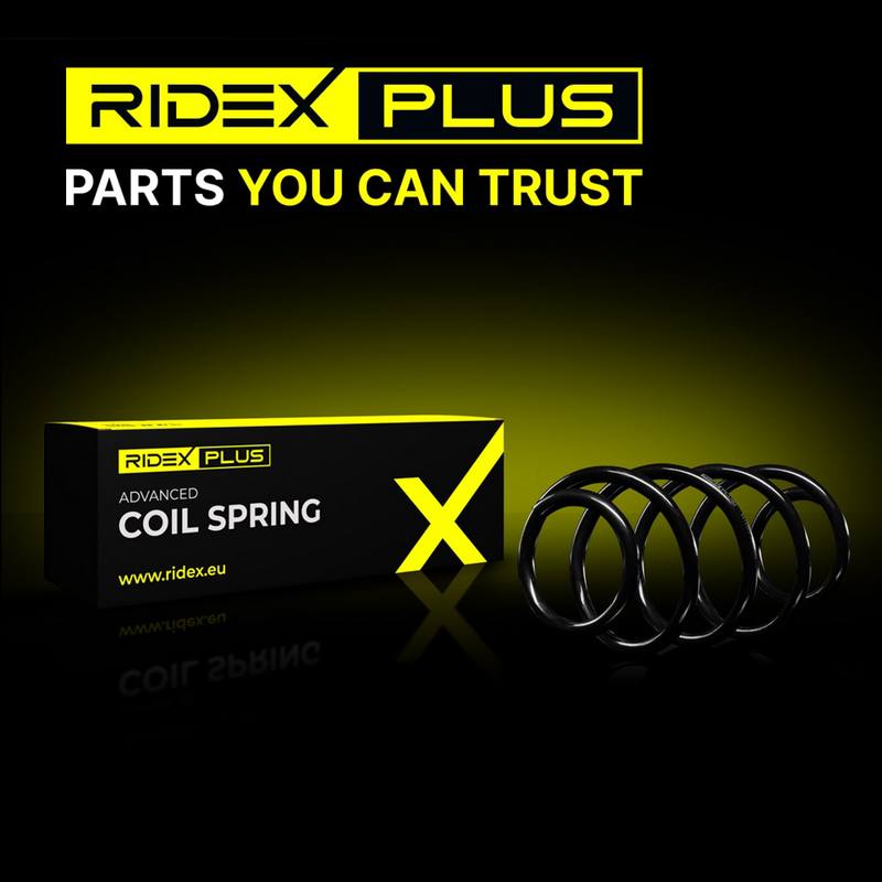 Suspension Spring