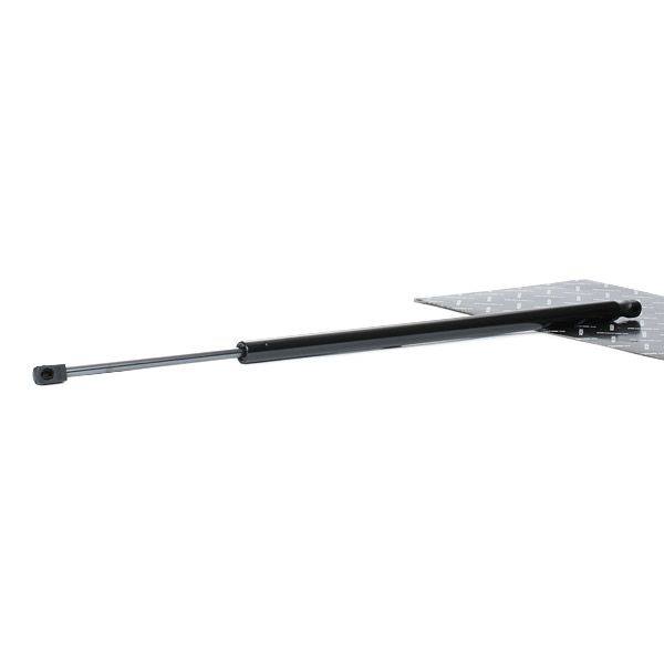 Gas Spring, boot/cargo area