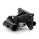 Thermostat, coolant