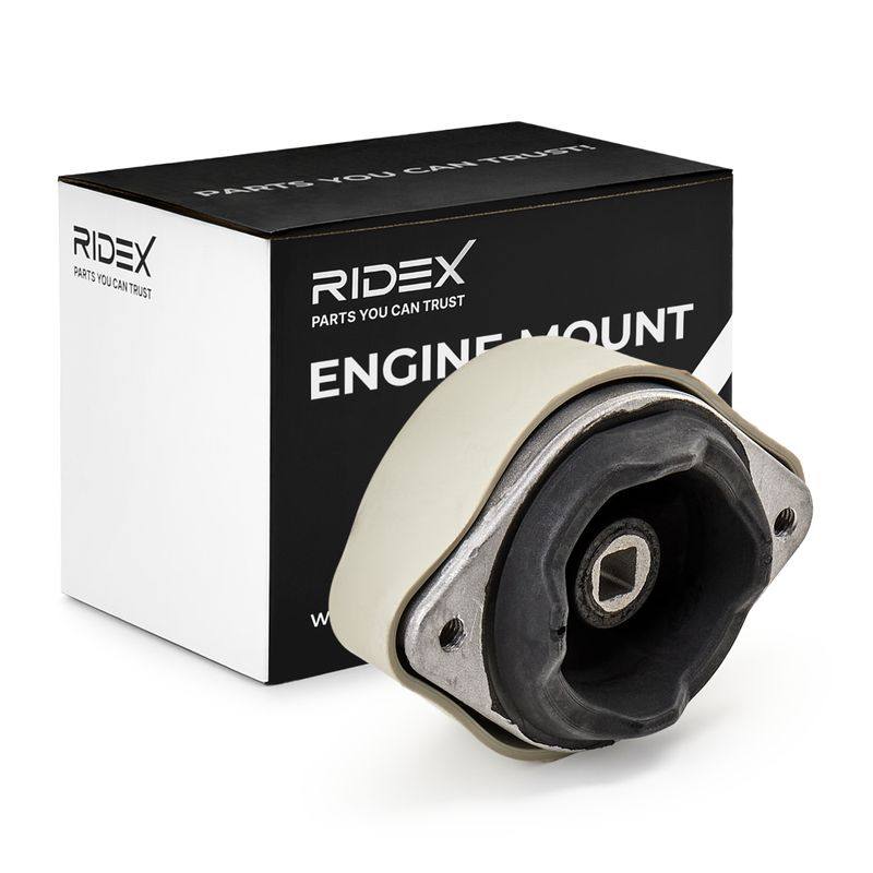 Mounting, engine