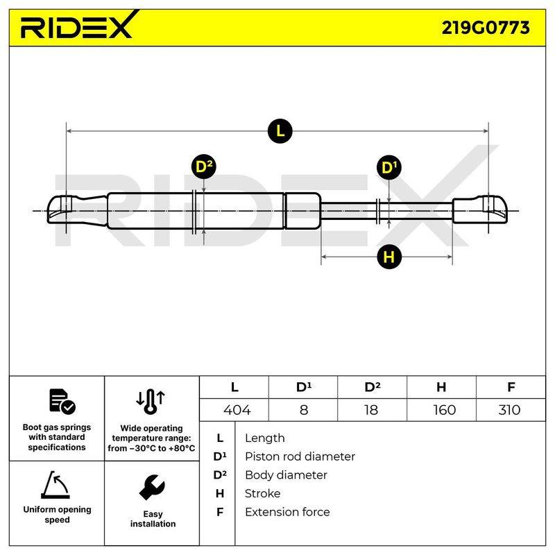 Gas Spring, boot/cargo area