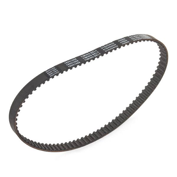 Timing Belt