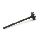 Exhaust Valve
