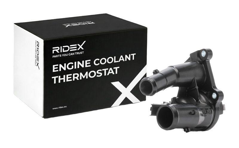 Thermostat, coolant