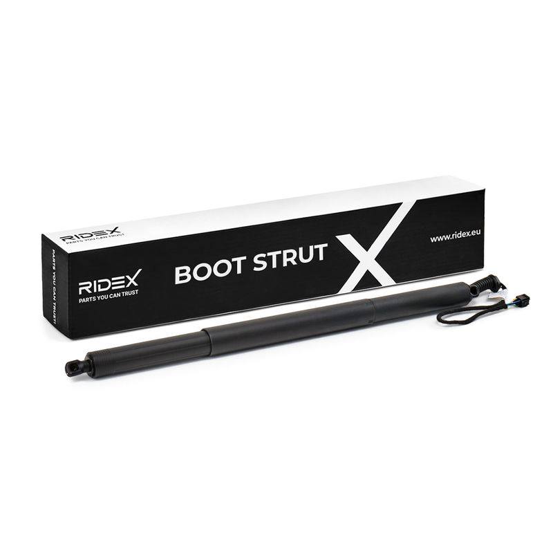 Gas Spring, boot/cargo area
