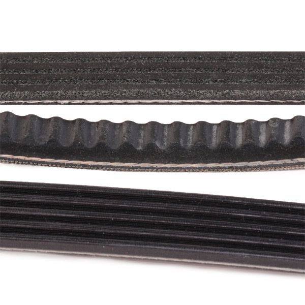 V-ribbed Belt Set