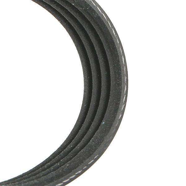 V-ribbed Belt Set