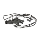 Ignition Cable Kit