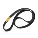 Timing Belt