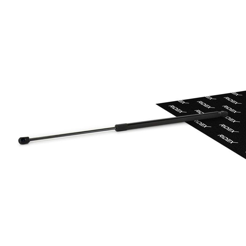 Gas Spring, boot/cargo area