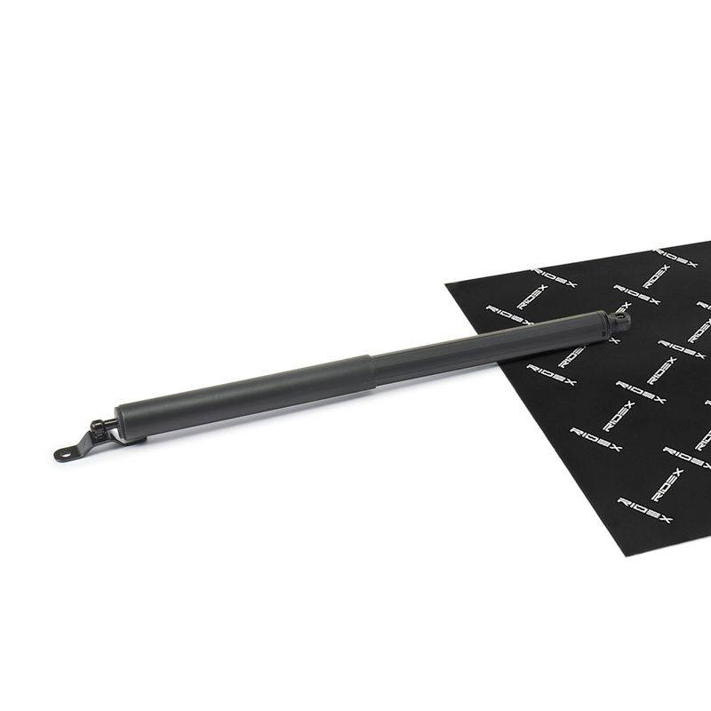 Gas Spring, boot/cargo area