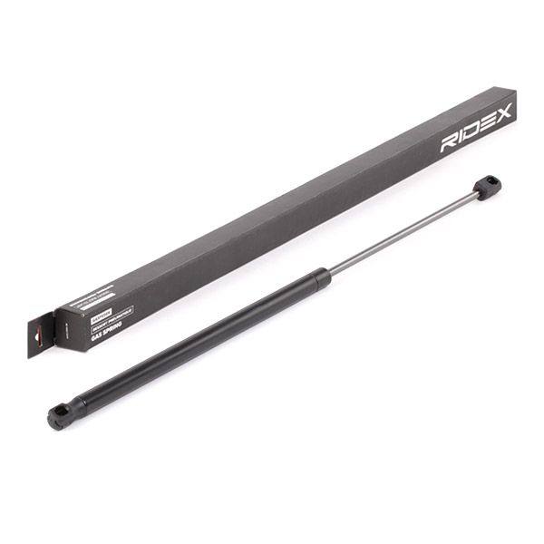 Gas Spring, boot/cargo area