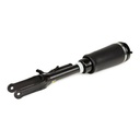 Air Suspension Strut