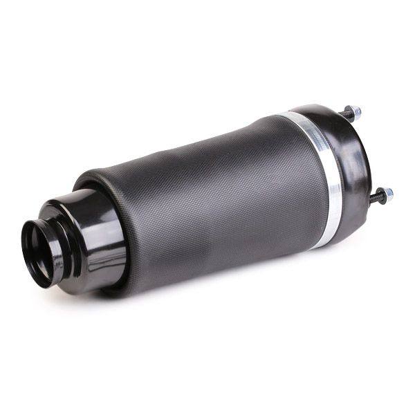 Air Spring, suspension
