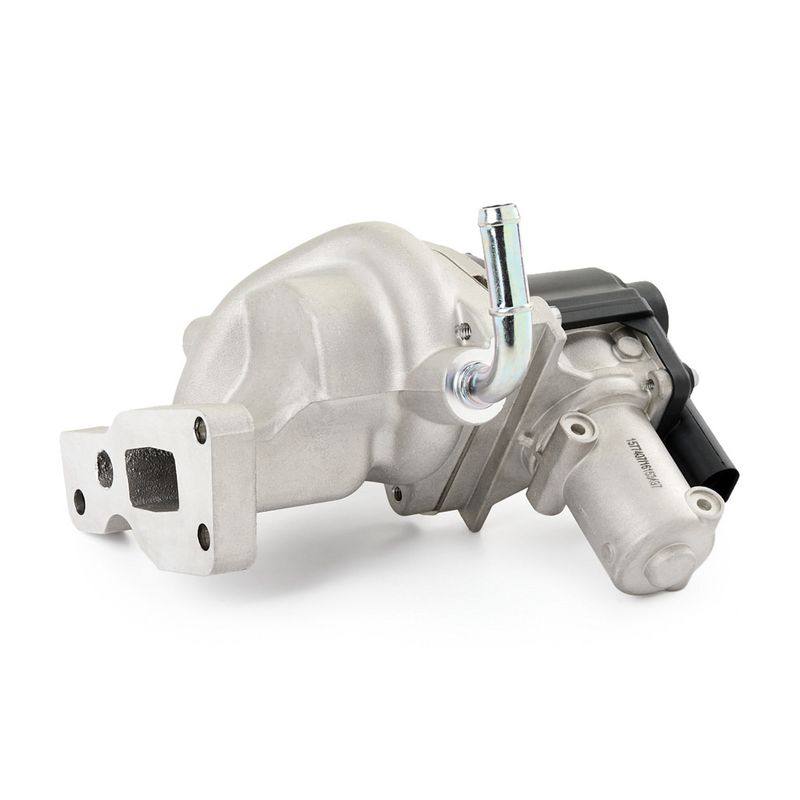 EGR Module