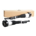 Air Suspension Strut