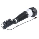 Air Suspension Strut