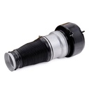 Air Spring, suspension