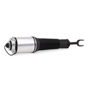 Air Suspension Strut