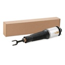 Air Suspension Strut