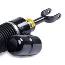 Air Suspension Strut