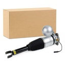 Air Suspension Strut