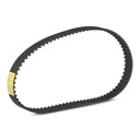 Timing Belt