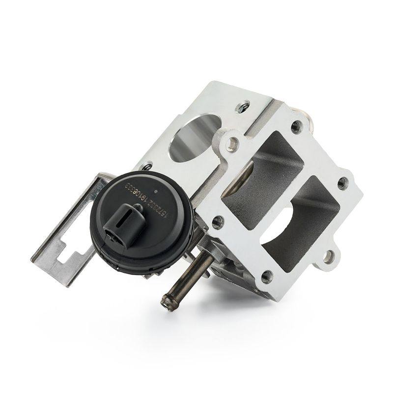 EGR Module