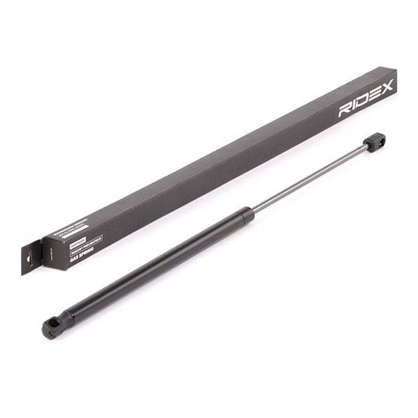 Gas Spring, boot/cargo area
