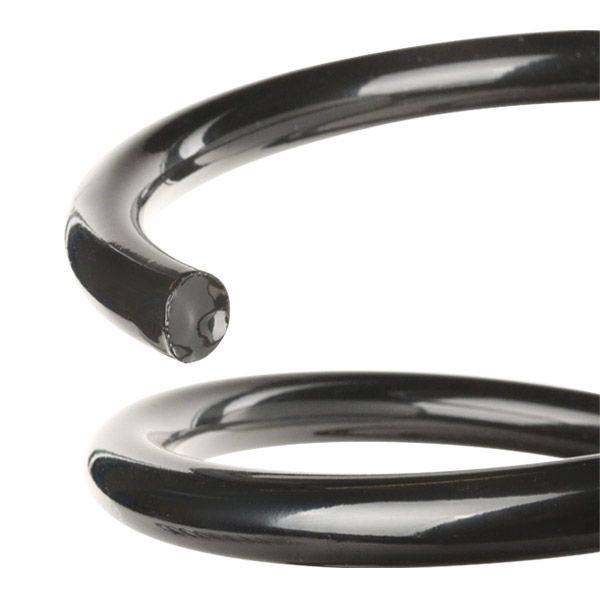 Suspension Spring