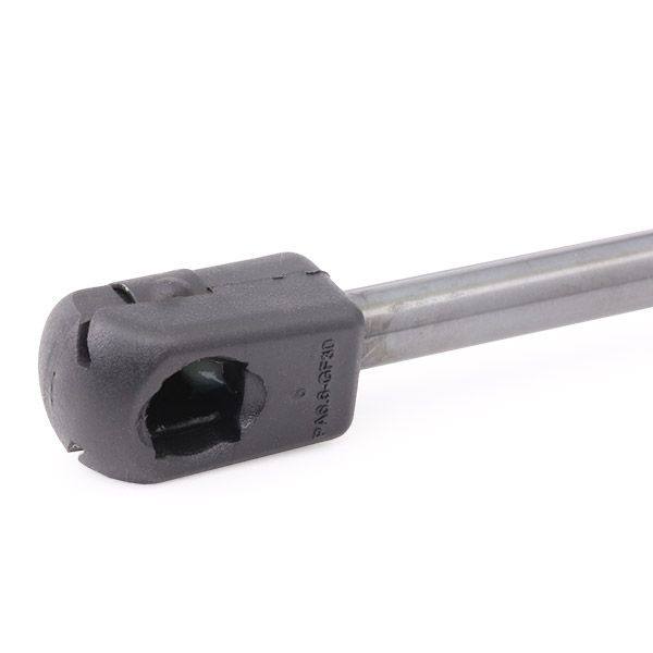 Gas Spring, boot/cargo area