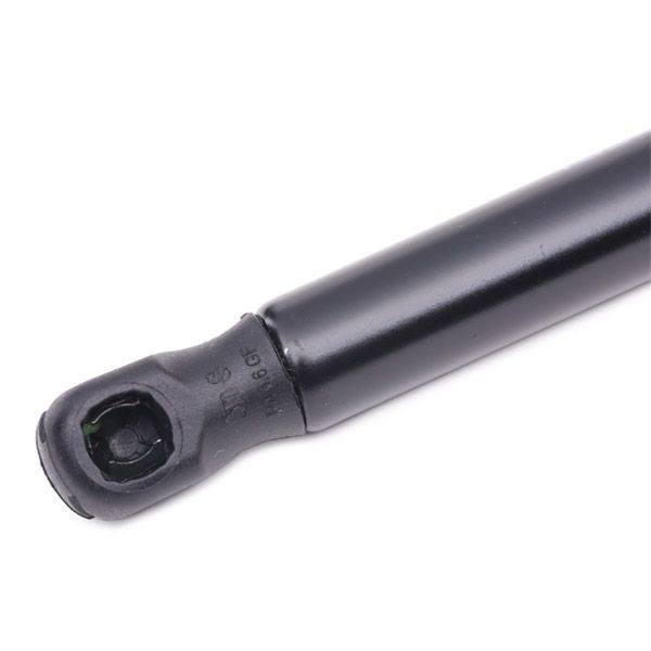 Gas Spring, boot/cargo area