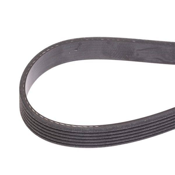 V-ribbed Belt Set