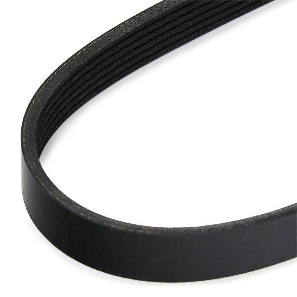 V-ribbed Belt