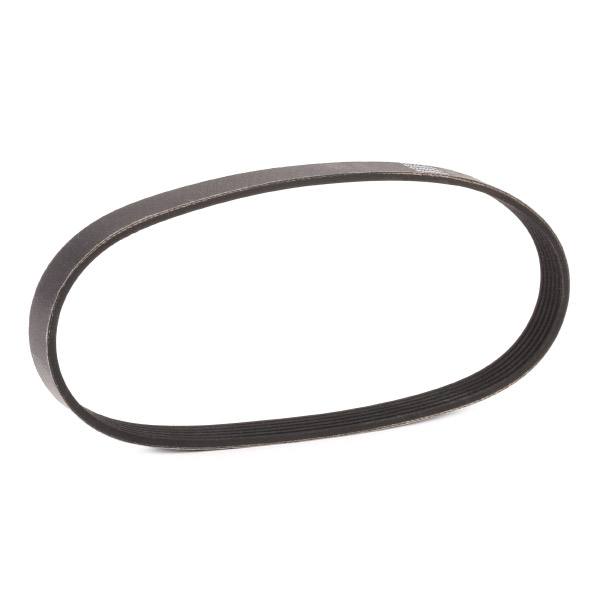 V-ribbed Belt