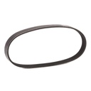 V-ribbed Belt