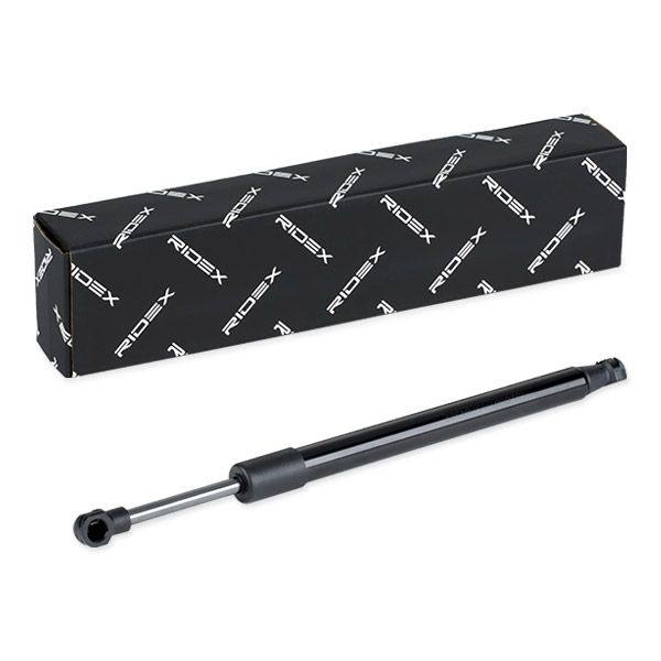 Gas Spring, boot/cargo area