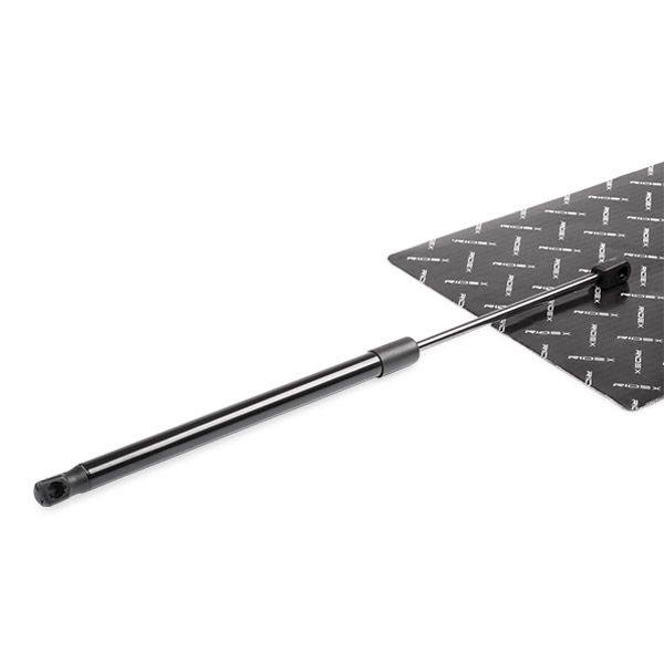 Gas Spring, boot/cargo area