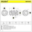 Suspension Spring
