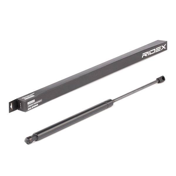 Gas Spring, boot/cargo area