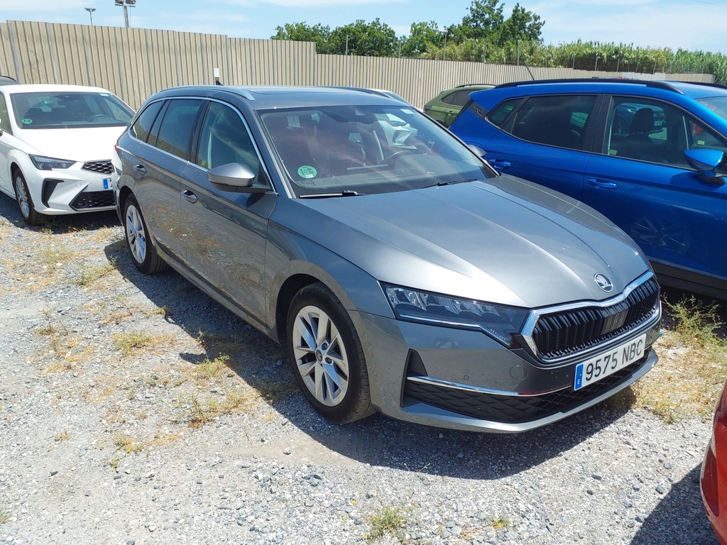 SKODA Octavia (Year of Construction 2025, 150 PS, Diesel)