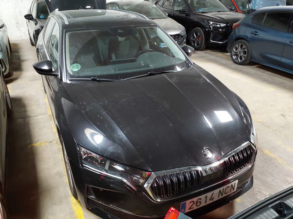 SKODA Octavia (Year of Construction 2025, 150 PS, Diesel)