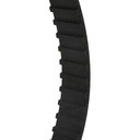 Timing Belt