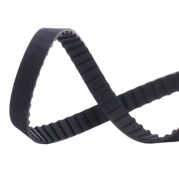Timing Belt