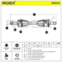 Drive Shaft