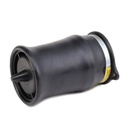 Air Spring, suspension