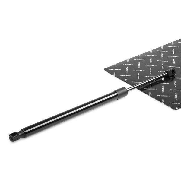 Gas Spring, boot/cargo area