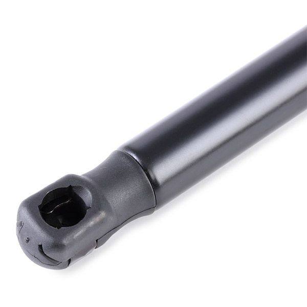 Gas Spring, boot/cargo area