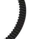 Timing Belt